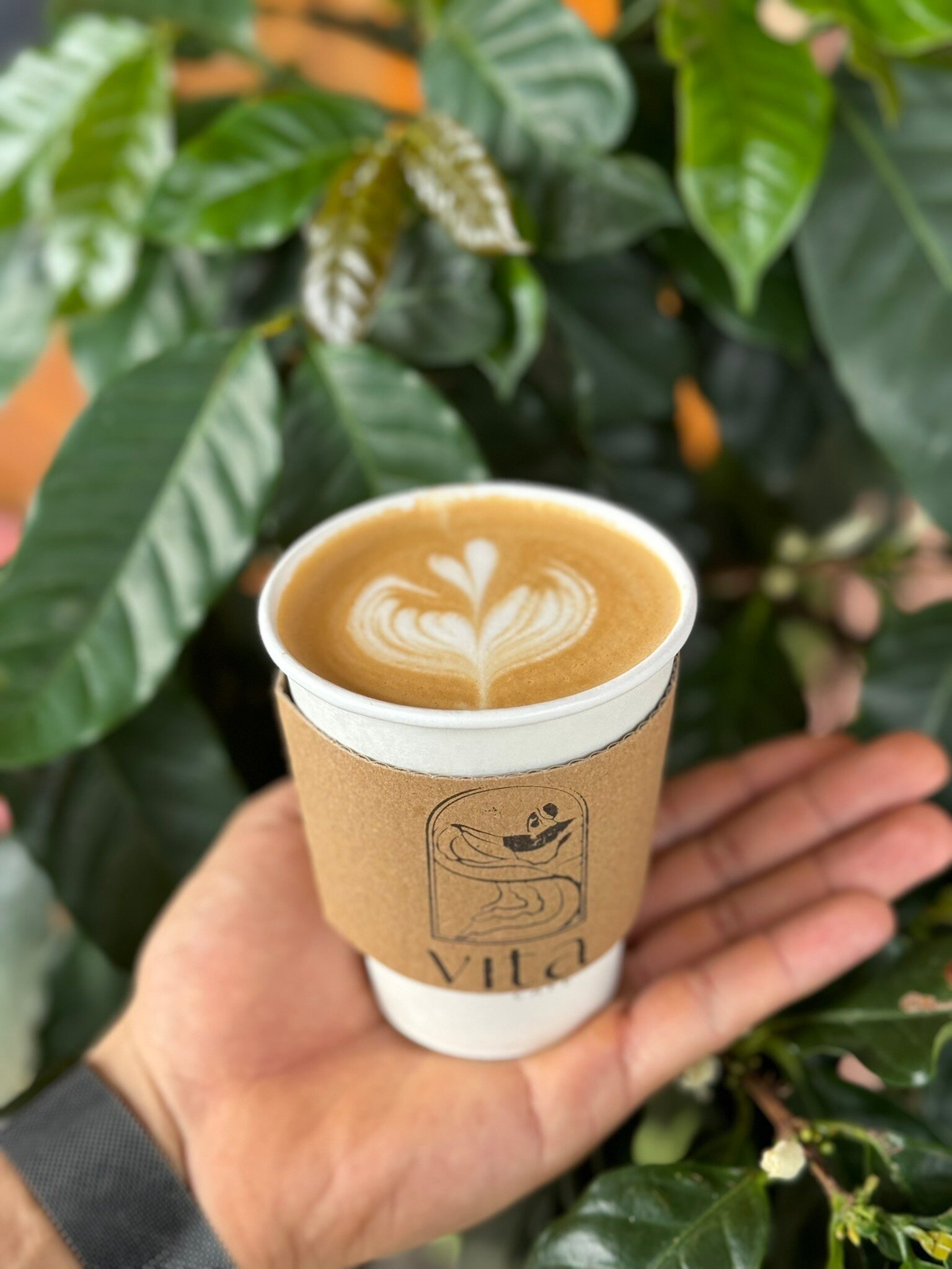 House syrup lattes — served at VITA Cafe