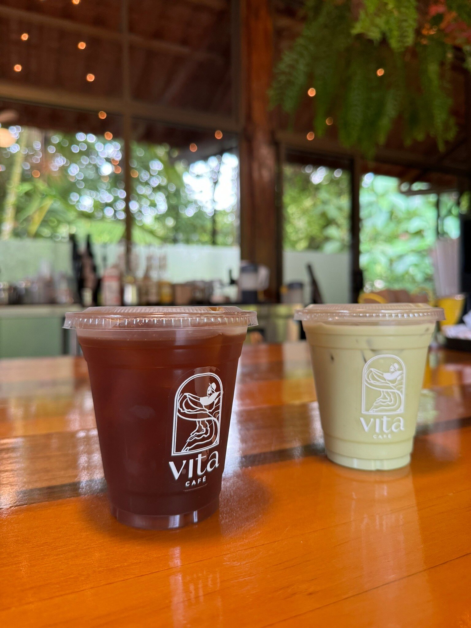 Iced vanilla matcha — served at VITA Cafe